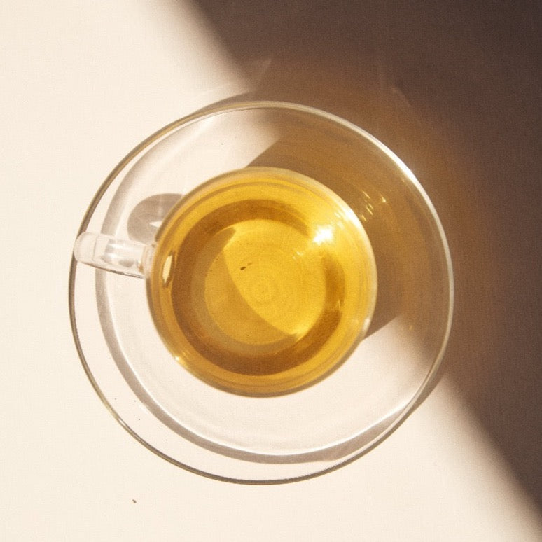 ON SUNDAYS-Sencha Green-20 serves