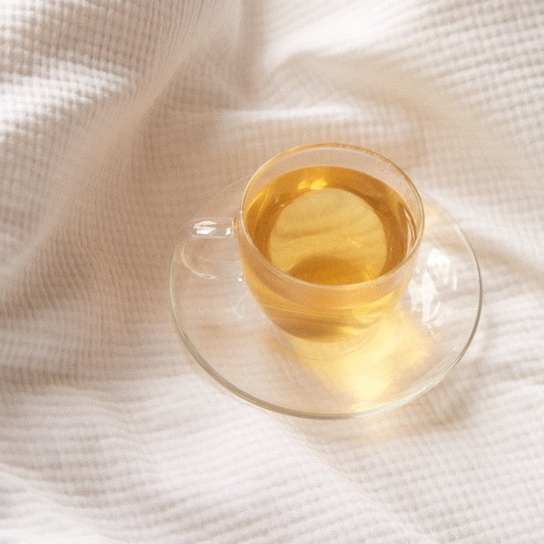 ON SUNDAYS-Sencha Green-20 serves