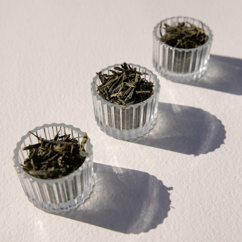 ON SUNDAYS-Sencha Green-20 serves