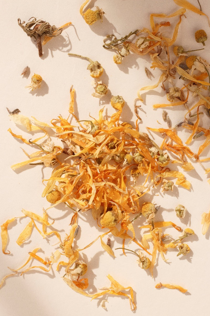 ON SUNDAYS-Unwind-20 serves