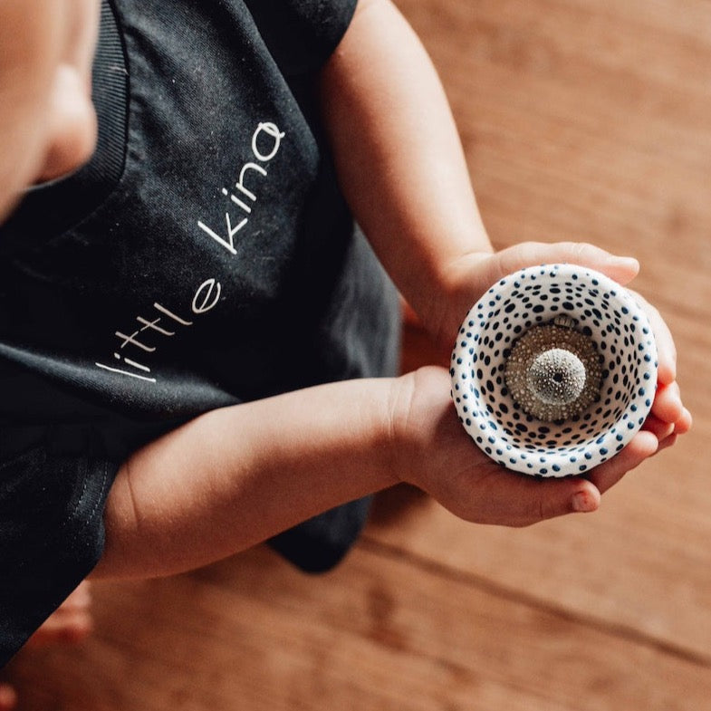 Little Kina - Whangapoua Pinch Bowl