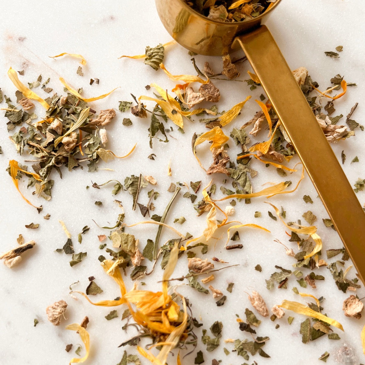 Mindful Tea-Bliss Starter Pack