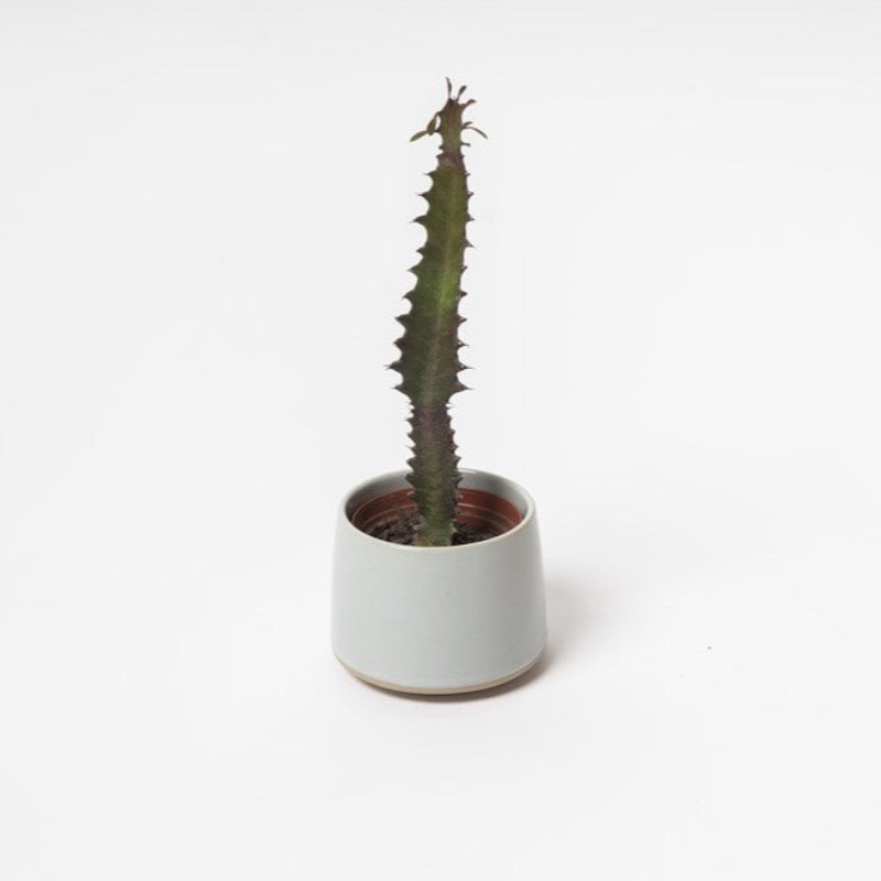 Ned Collections Lester Pot