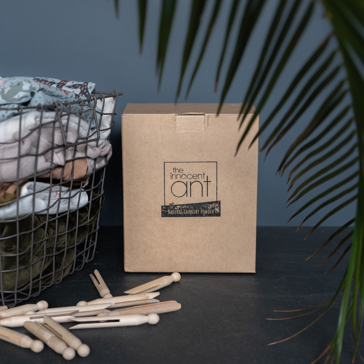 The Innocent Ant Natural Laundry Powder 1kg - Original (Unscented)