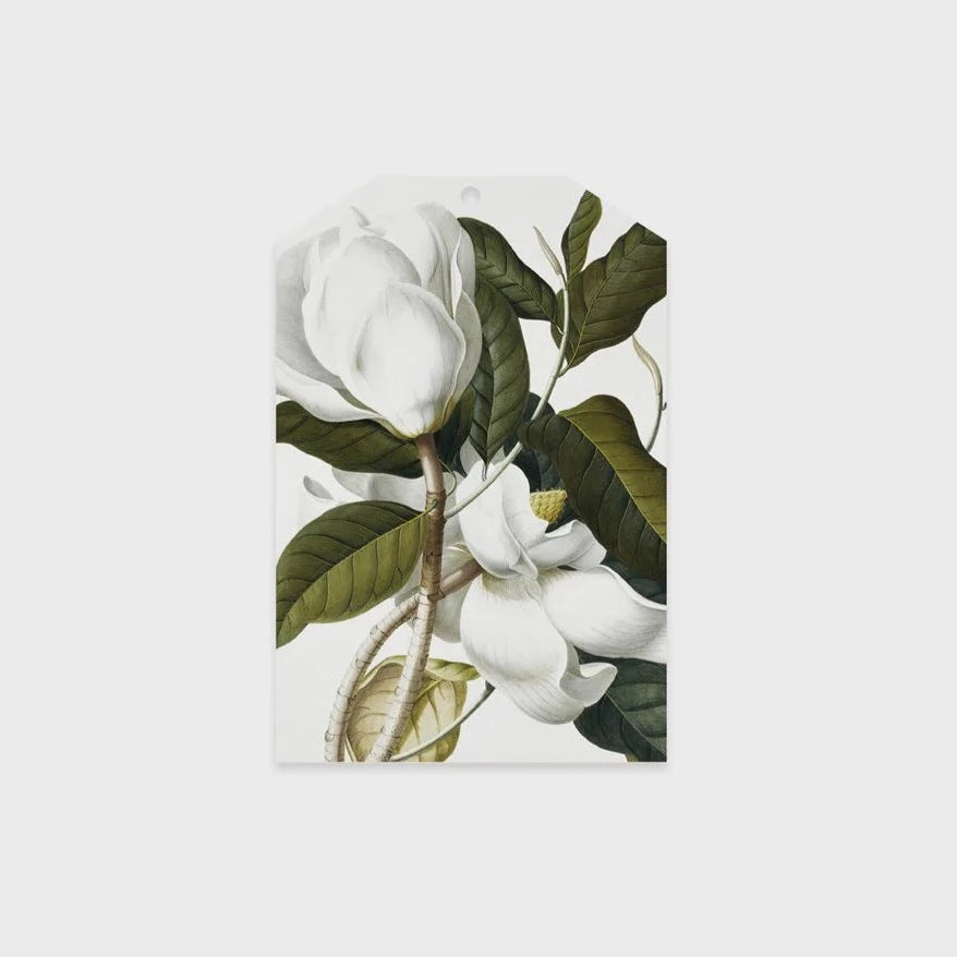 Father Rabbit Gift Tag - Gardenia