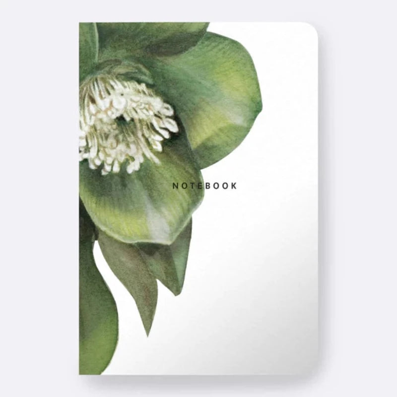 Father Rabbit Notebook - Hellebore