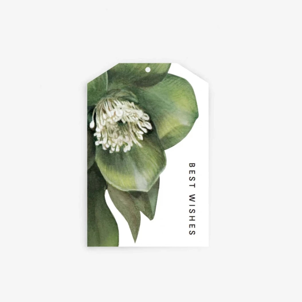 Father Rabbit Gift Tag - "Best Wishes"