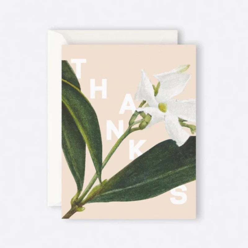 Father Rabbit - Jasmine "Thanks" Card