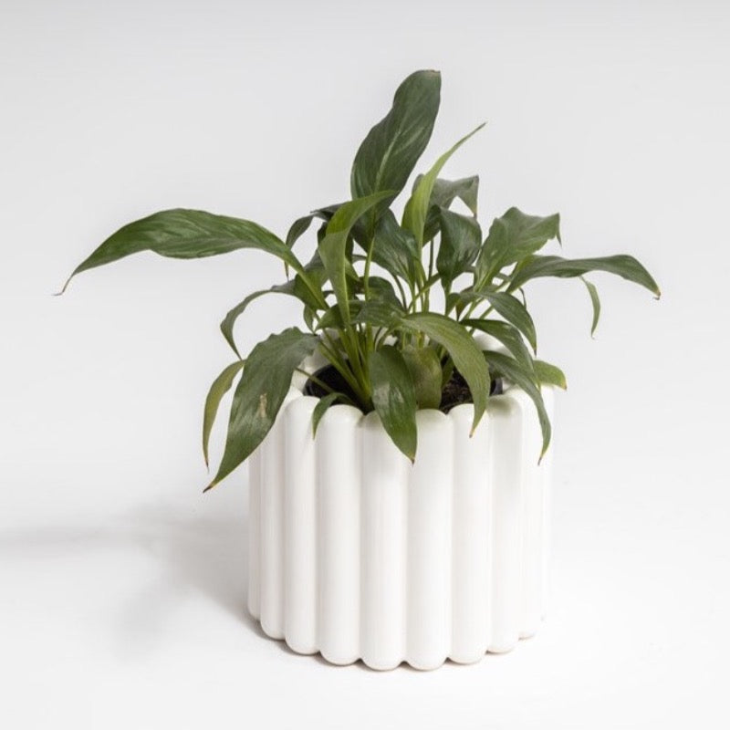 Ned Collections Alto Vase - White
